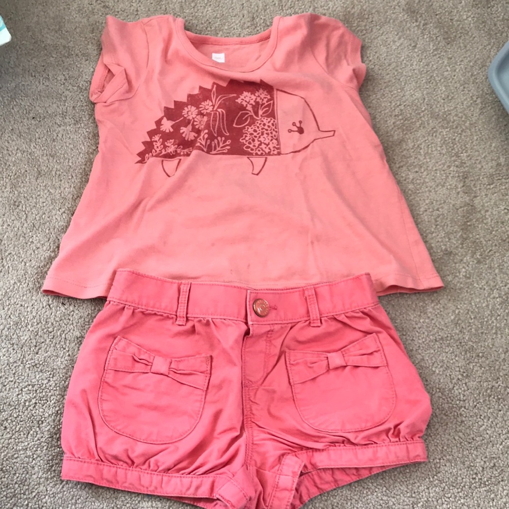 Gap shorts